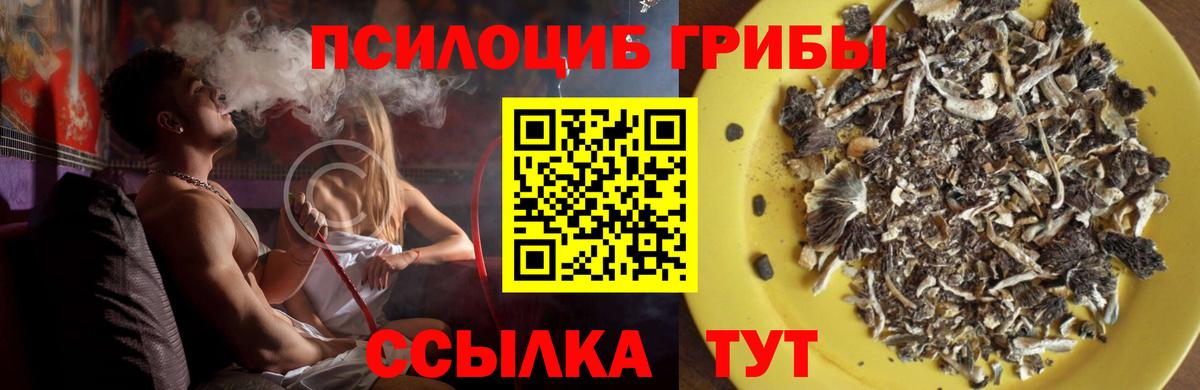 Благовещенск  Псилоцибиновые грибы ЛСД  Вход с VPN 